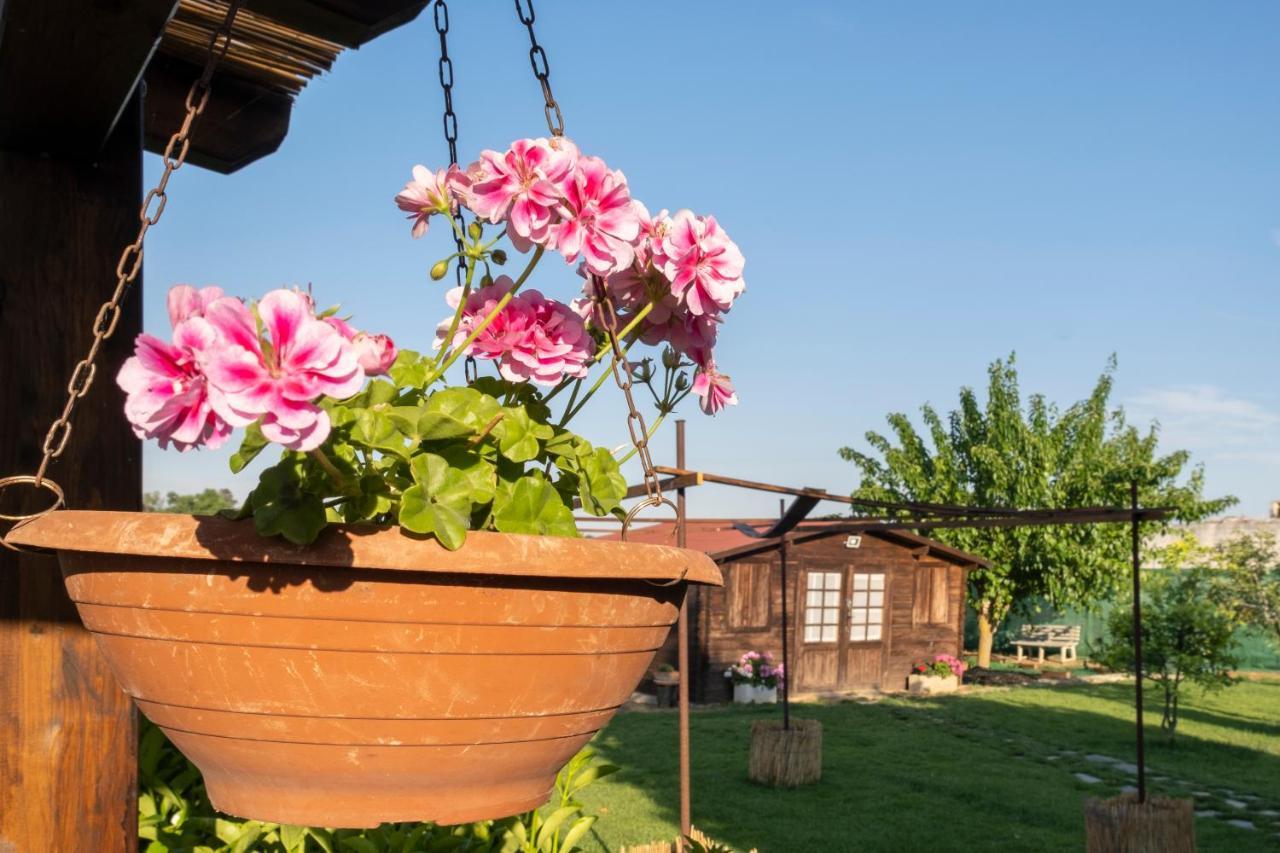 A Lu Fanizza Bed & Breakfast Cutrofiano Eksteriør bilde